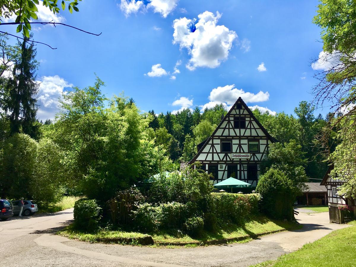Schloesslesmuehle Hotel Leinfelden-Echterdingen Buitenkant foto