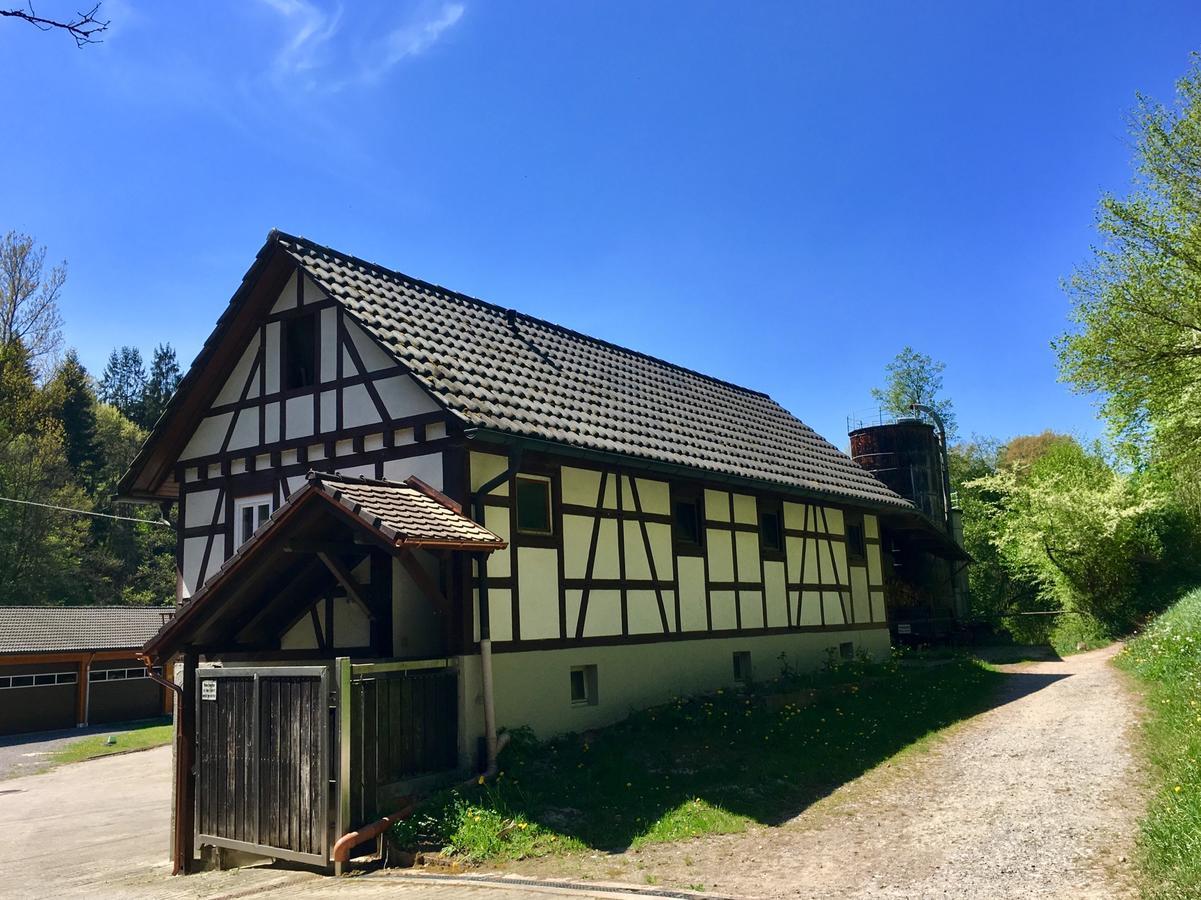 Schloesslesmuehle Hotel Leinfelden-Echterdingen Buitenkant foto